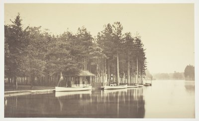 Floresta. de Charles Marville