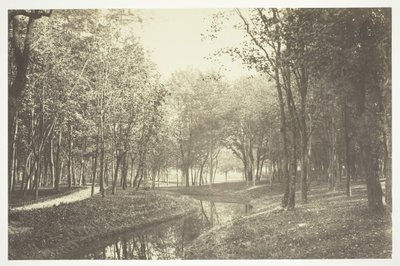 Floresta. de Charles Marville