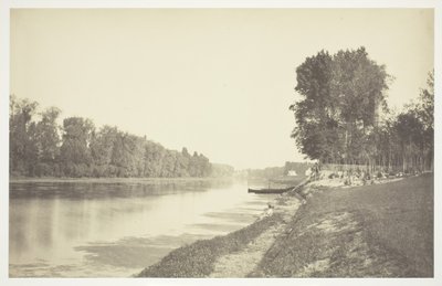 Sem título, c. 1850. [Árvores perto da água no Bois de Boulogne, um parque em Paris]. de Charles Marville