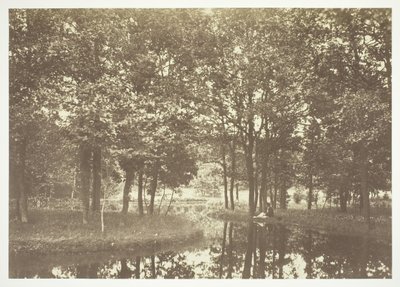 Sem título, c. 1850. [Árvores perto da água no Bois de Boulogne, um parque em Paris]. de Charles Marville