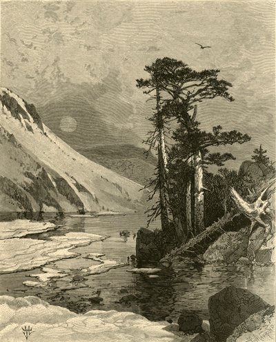 Floresta. de Charles Maurand