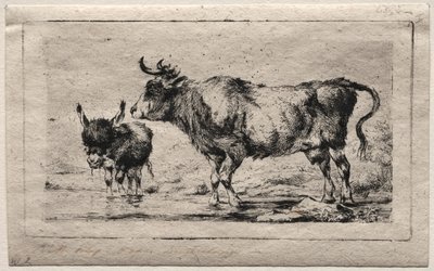 Vaca e burro de Charles Meryon