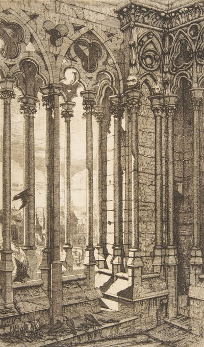 Galeria, Catedral de Notre-Dame, Paris, 1853. de Charles Meryon