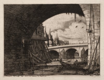 Larício da ponte de Notre Dame, Paris, 1853. de Charles Meryon