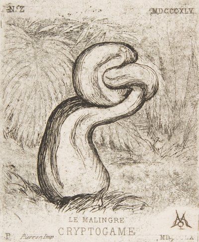 A insignificante Criptogamia, 1860. de Charles Meryon