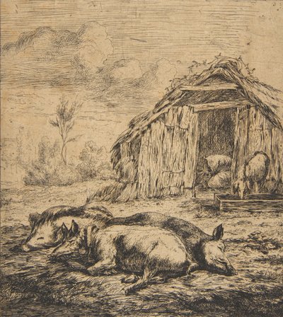 Três porcos deitados na frente de um galpão, 1850. de Charles Meryon