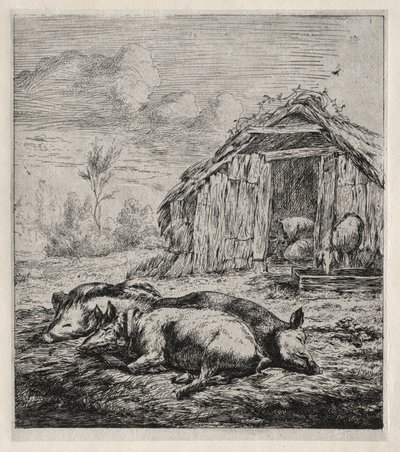 Três porcos na frente de um chiqueiro, 1850. de Charles Meryon