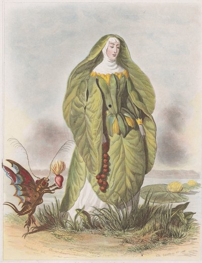 Nenúfar, de Les Fleurs Animées, 1847. de Charles Michel Geoffroy