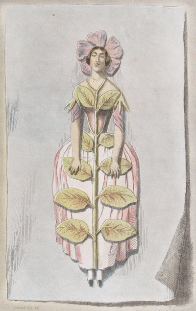 Floresta. de Charles Michel Geoffroy