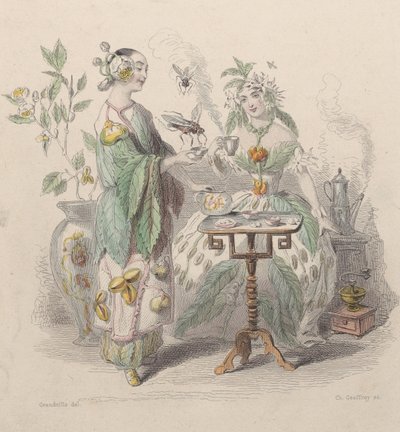Floresta. de Charles Michel Geoffroy