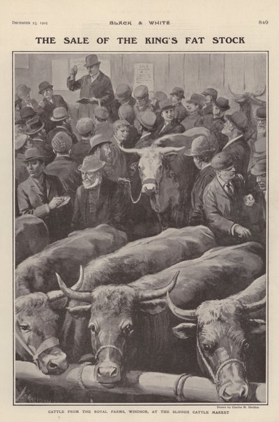 Gado das fazendas reais em Windsor à venda no Slough cattle market, Berkshire (litho) de Charles Mills (after) Sheldon