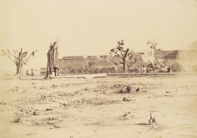 [Paisagem árida com uma fortaleza não identificada, Deli]. de Charles Moravia
