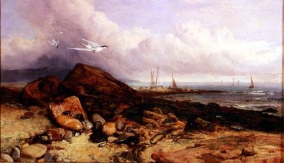 Cena da Costa com Barco de Pesca e Andorinhas-do-mar de Charles Napier Hemy