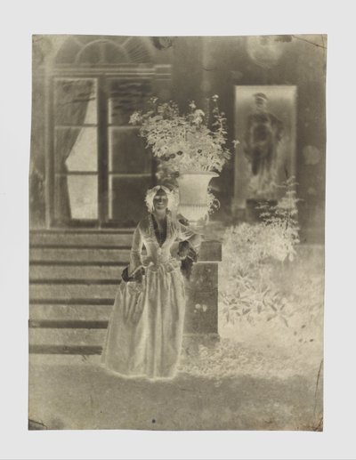 Retrato de uma mulher, possivelmente a Sra. Ernest Feydeau de Charles Nègre