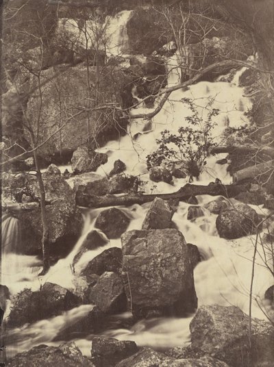 [Árvores e Cachoeiras], 1860-65. de Charles Nègre