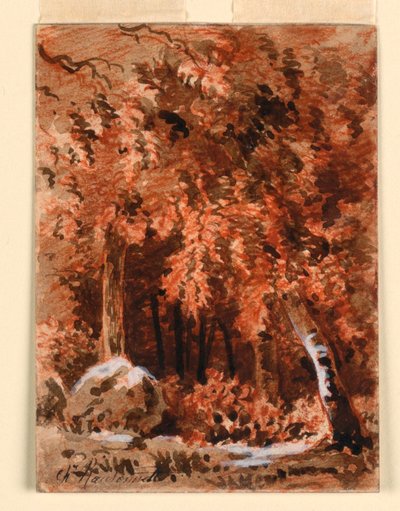 Na floresta de Charles Nicolas Ransonnette