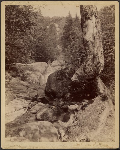 [Cascading Stream]. de Charles P. Hibbard