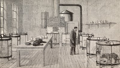 Cães em gaiolas no laboratório de Louis Pasteur (1822-1895), químico e biólogo francês, Paris, França, gravura de L