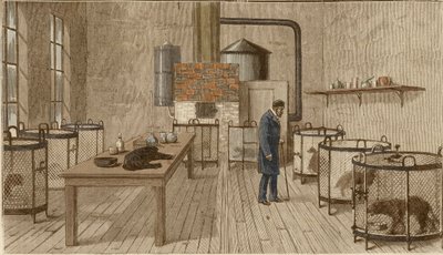 Cães em gaiolas dentro do laboratório de Louis Pasteur de Charles Paul Renouard
