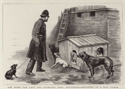 O Lar dos Cães Perdidos e Famintos, Battersea, trazendo um Novo Comer de Charles Paul Renouard