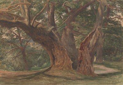 Árvores numa Paisagem de Charles Reginald Aston