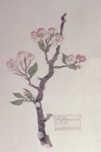 Apple, Walberswick, 1915 (lápis e wc) de Charles Rennie Mackintosh