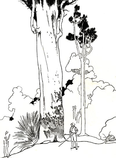 Uma árvore Kauri, 1912 de Charles Robinson