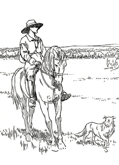 Uma estação de ovelhas na Austrália, 1912 de Charles Robinson