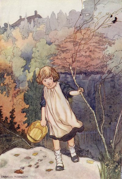Nosso Jardim Sentimental: A Faia de Charles Robinson