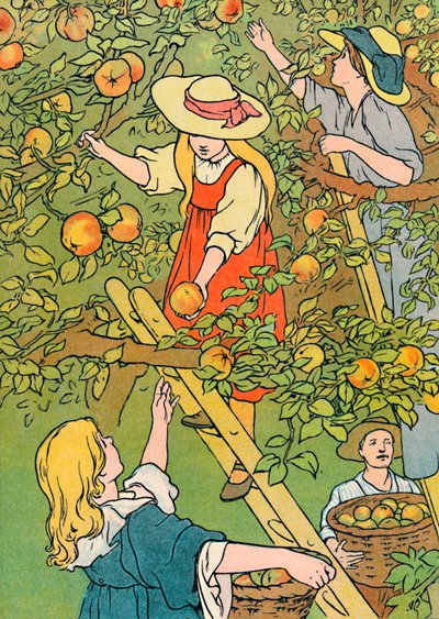 Colhendo os Frutos, 1912 de Charles Robinson