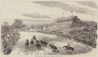 O Alexandra Park Races, Muswell Hill de Sir John Charles Robinson