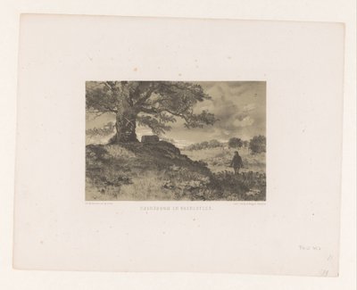 Paisagem com árvore de fronteira e pedra de fronteira
Árvore limite e pedra limite (título sobre o objecto) de Charles Rochussen