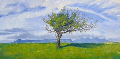 Árvore da Costa Oeste, 2015 (óleo sobre tela) de Charles Simpson
