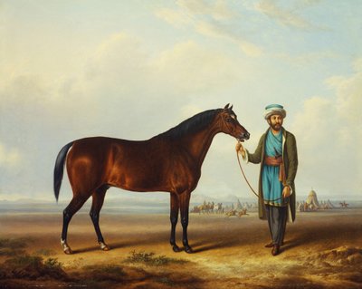 Um garanhão árabe mantido por um noivo com um acampamento além de Charles Towne