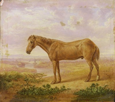 Billy velho, um cavalo de esboço, envelhecido 62 de Charles Towne
