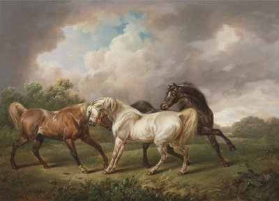 Três cavalos em uma paisagem tempestuosa (óleo sobre tela) de Charles Towne