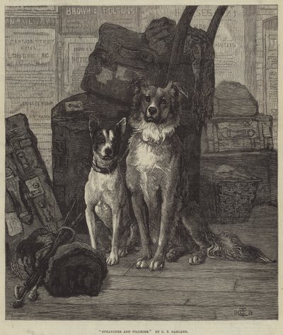 Estranhos e peregrinos de Charles Trevor Garland