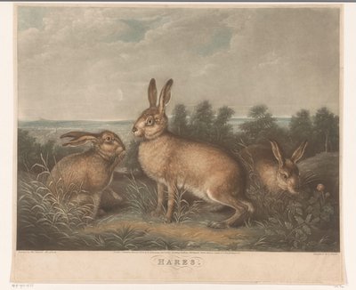 Drie hazen Lebres (título no objeto) de Charles Turner