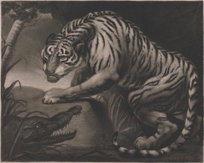 Tigre e Crocodilo de Charles Turner