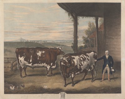 Dois bois Durham de Charles Turner