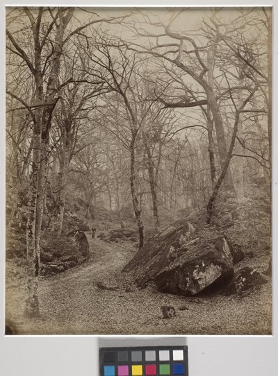 Fontainebleau, c.1870 (impressão de albumen) de Charles Victor Famin