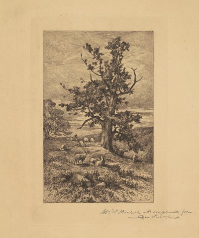 Paisagem com ovelhas de Charles Volkmar