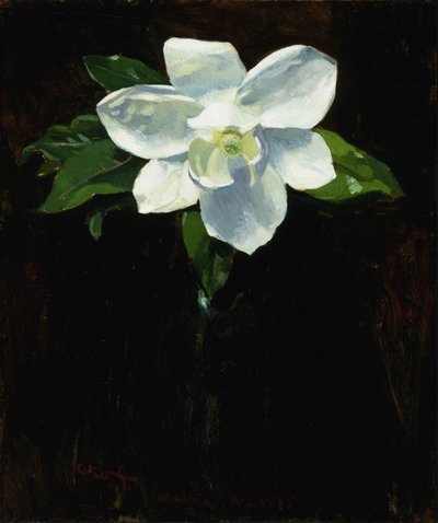Magnólia de Charles Walter Stetson
