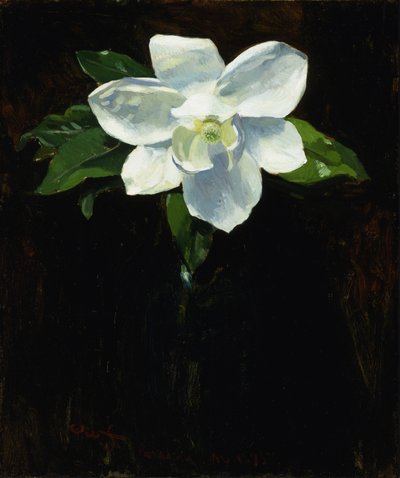 Magnólia, 1895. de Charles Walter Stetson