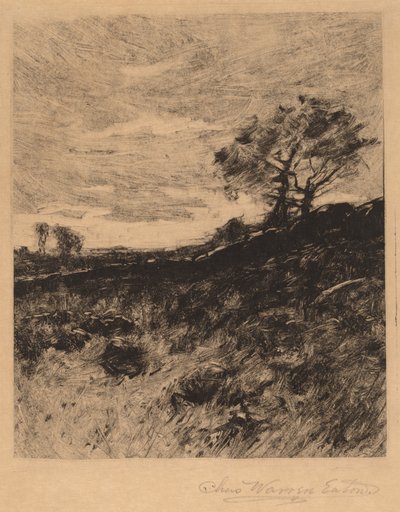 Paisagem de Charles Warren Eaton