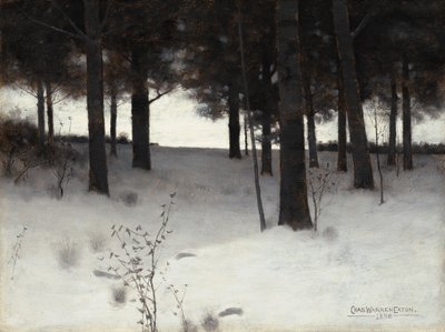 Bosques no inverno de Charles Warren Eaton