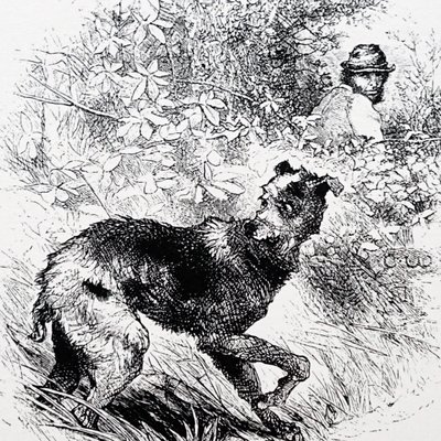 Um caçador furtivo com o seu lurcher de Charles Whymper