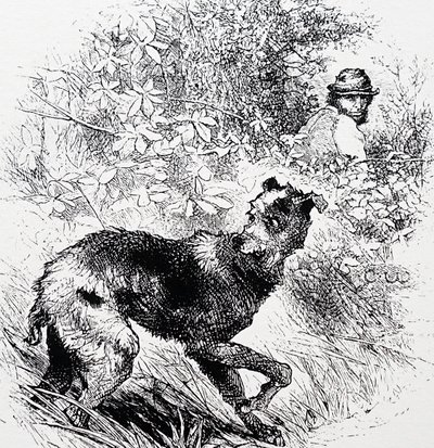 Um caçador furtivo com o seu lurcher de Charles Whymper