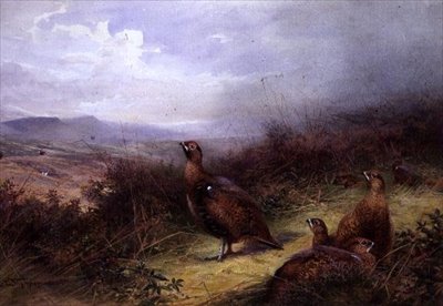 Grouse nas Terras Altas de Charles Whymper