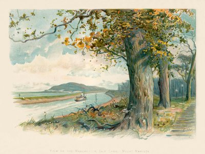 Vista sobre o canal do navio Manchester - Mount Manisty de Charles Wilkinson